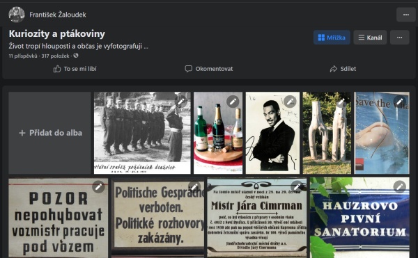 Kuriozity a ptákoviny